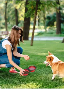 Outdoor detail shot of portable silicone folding pet double bowl in use on green grass.