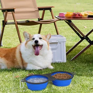 Portable Collapsible Pet Double Bowl Silicone Foldable Travel Dog Bowl Outdoor Camping Food Water Feeder With Carabiner