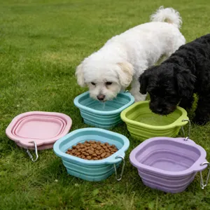 Ciotola pieghevole in silicone per cani ciotola portatile da viaggio per animali domestici