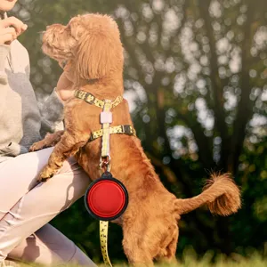 Portable 350ml pet collapsible bowl for outdoor travel, folding dog food and water bowl main view