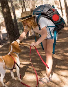 Portable collapsible pet bowl for outdoor hiking travel, durable silicone dog feeding dish.
