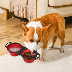 Portable collapsible silicone double pet dog bowl with travel feeding design for outdoor use