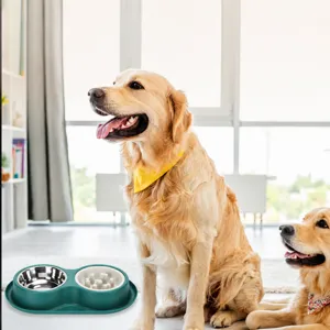 Pet double bowl stainless steel slow feeder dog food water bowl with green base