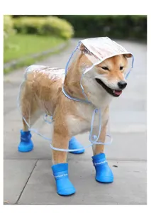 Transparent dog raincoat and blue waterproof silicone rain boots set for small pets outdoor.