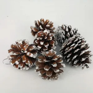 Close-up of snow-tipped pinecones with silver hanging strings for Christmas decor