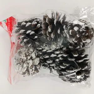 Detailed view of snow-tipped pine cone Christmas ornaments in packaging