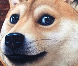 Primer plano detallado de la cara de Shiba Inu Doge impresa en un monedero de tela suave