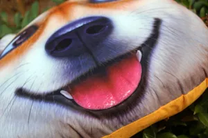 Detalle de primer plano del cojín de felpa 3D Doge Shiba Inu con impresión realista