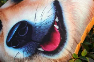 Detalle macro del cojín de cabeza de perro 3D con textura de impresión de Shiba Inu