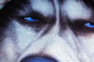 Vista macro del estampado realista de ojos azules en un cojín 3D de perro Husky