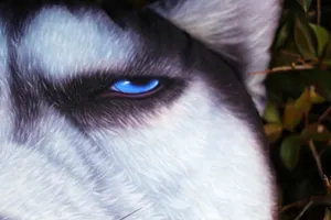 Detalle macro de alta definición del ojo azul y la textura del pelaje de un cojín de Husky 3D