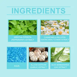 Infographie détaillée présentant des extraits de plantes naturelles comme menthe et aloès.