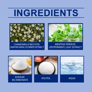 Oralhoe dentifrice infographie des ingrédients extraits naturels doux et sûrs pour les dents