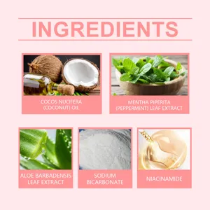 Infographie détaillée montrant des ingrédients naturels comme la noix de coco et la menthe.