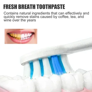 Gros plan des poils de brosse à dents pour un nettoyage efficace des dents au quotidien.