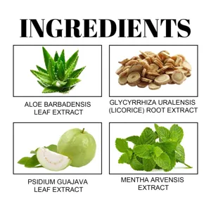 Detailansicht mit natürlichen Pflanzenextrakten wie Aloe, Süßholz, Guave und Minzinhaltsstoffen.