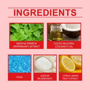 Graphique détaillé des ingrédients naturels avec menthe, huile de coco, bicarbonate et citron.