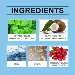 Carte détaillée des ingrédients du bain de bouche menthe noix de coco xylitol extrait