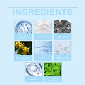 Graphique détaillé soulignant les actifs comme la menthe et le carbonate pour les soins.