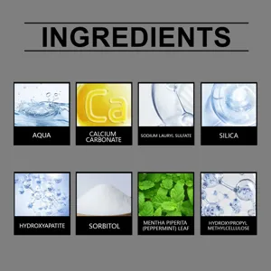 Zahnpasta Inhaltsstoff Detail Infografik mit aktiven Komponenten, Wasser, Silika und Minze.