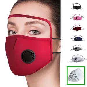Vista detallada de mascarilla protectora con protector ocular y filtros PM2.5 recambiables.