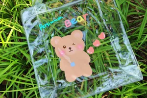 Primo piano dettagliato di un orsetto cartoon stampato su una borsa in PVC trasparente nell'erba.
