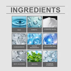 Detail der Inhaltsstoffe von Zahnreinigungsschaum mit Aqua, Menthol und Sorbitol