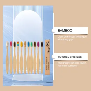 Brosses à dents en bambou biodégradables avec poils souples et colorés