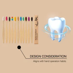 Détail de brosses à dents en bambou à manche plat avec emballage carton biodégradable