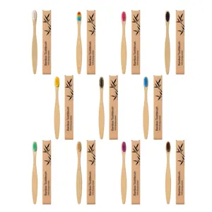 Brosse à Dents en Bambou Écologique Poils Souples Manche en Bois Naturel Brosse à Dents Manuelle Soins Bucco-Dentaires Quotidiens