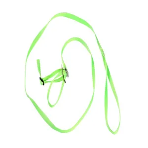Dettaglio del guinzaglio e pettorina a 8 verde neon per piccoli uccelli