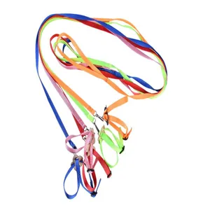 Set di pettorina e guinzaglio colorati a forma di 8 per piccoli animali e pappagalli