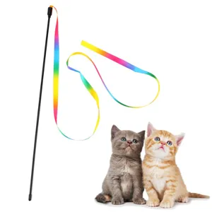 Interactieve regenboog lint kattenhengel speeltje met twee kittens op witte achtergrond