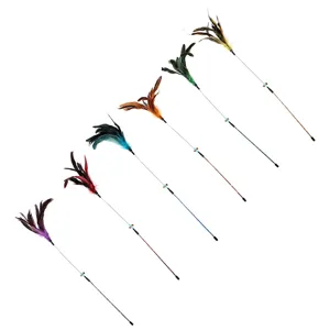 Set di sei bacchette flessibili per gatti con piume colorate su fondo bianco