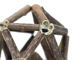 Macro view showing the natural texture and joints of a silver vine geometric cat toy ball