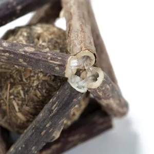 Detailed view of a natural silvervine stick cat toy cage with an inner catnip ball