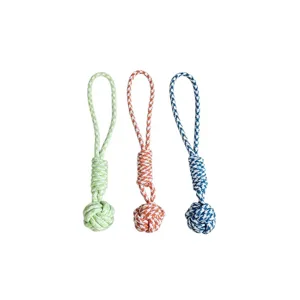 Set di giocattoli da masticare per cani in corda intrecciata, resistente giocattolo per molari.