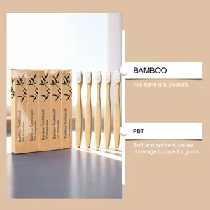 Set de brosses à dents en bambou avec poils PBT doux, manche écologique pour un soin quotidien.