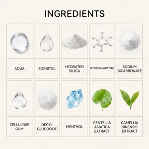 Detailed ingredient infographic showing active plant extracts and safe minerals in toothpaste.