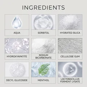 Detaillierte Inhaltsstoff-Infografik mit Probiotika-Formel für Zahnschmelzpflege und Frische.