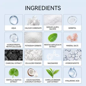 Zahnhohlraumpflege Schaumzahnpasta Inhaltsstoff Detaildiagramm mit Pflanzenextrakten.