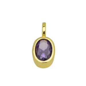 Vergulde Ovale Paarse Zirkoon Hanger Minimalistische Sieraden Detail Weergave Accessoire