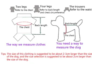 Graphique de guide de mesure détaillé pour vêtements de chien avec longueur et tour de poitrine.