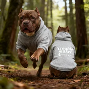 Grey pet hoodie with cute back print and comfortable hood design for dogs daily wear outdoor.