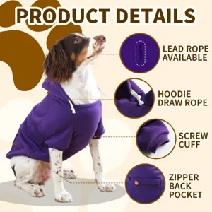 Vue détaillée du sweat à capuche pour chien violet avec poche arrière, cordon et poignets.