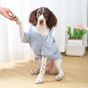 Grey pet dog hoodie sweatshirt with white adjustable drawstring, cozy pet apparel design view.