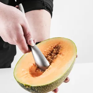 Stainless steel fruit peeler and melon seed remover for kitchen household daily use tools
