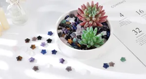 Detailed shot of cute star-shaped crystal pocket stones in a white bowl with succulents.