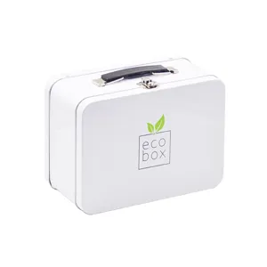 Portable Tinplate Lunch Box Metal Storage Box With Lock Handle Rectangular Gift Box Cosmetic Container