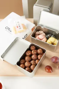 Silberne Metall-Dose mit Klappdeckel zur Aufbewahrung von Snacks und praktischen Kleinteilen.
